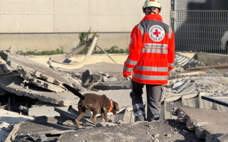 Rettungshund sucht in Trümmern