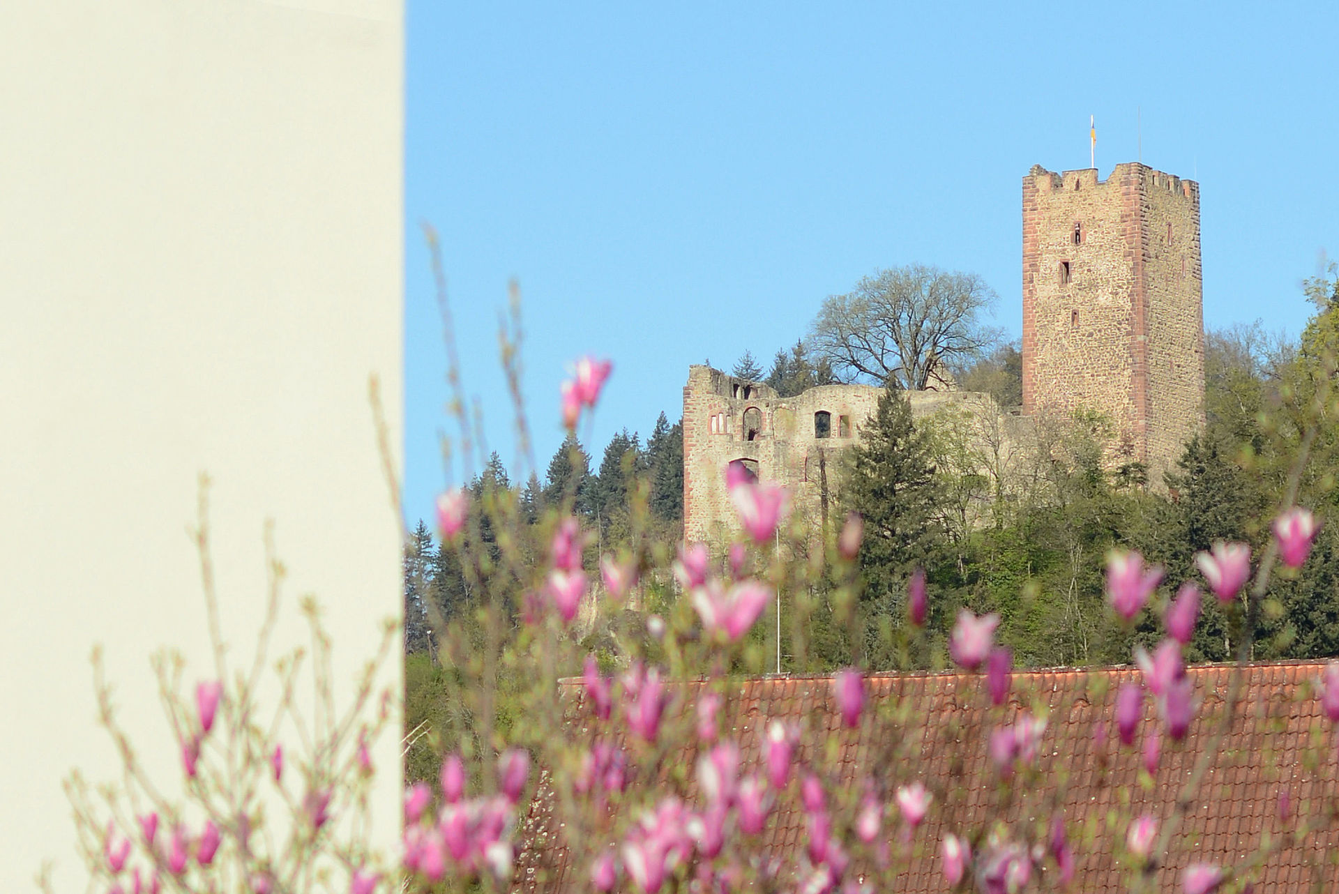 Kaslteburg von Waldkirch