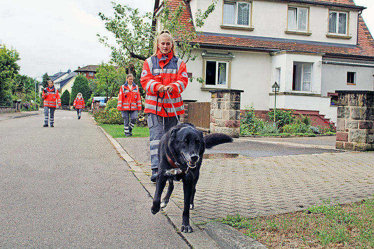 Rettungshund mit Frauchen bei einer Übung
