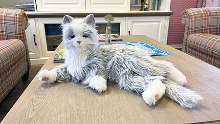 Therapiekatze